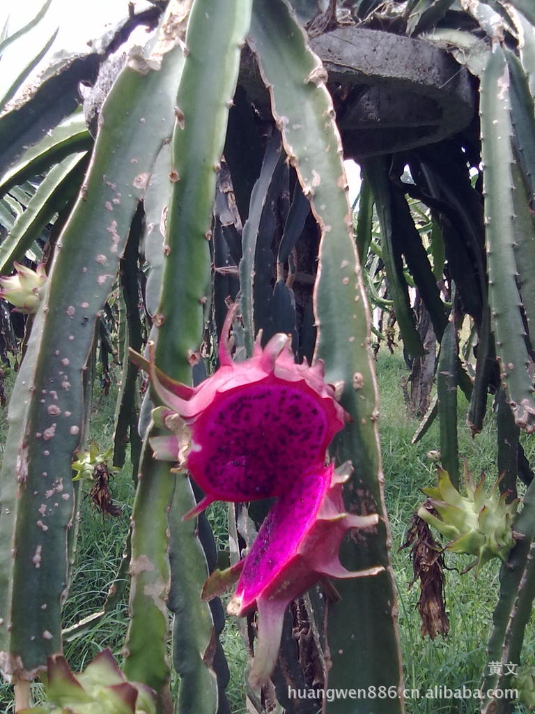 tyc7111cc太阳成集团