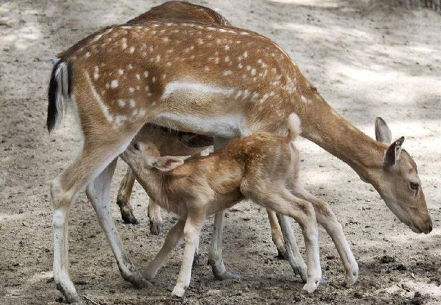 tyc7111cc太阳成集团