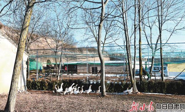 《扫毒2》2天票房近3亿超前作总票房 《蜘蛛侠:英雄远征》累计票房破10亿:太阳成tyc7111cc官网(图1) tyc7111cc太阳成集团