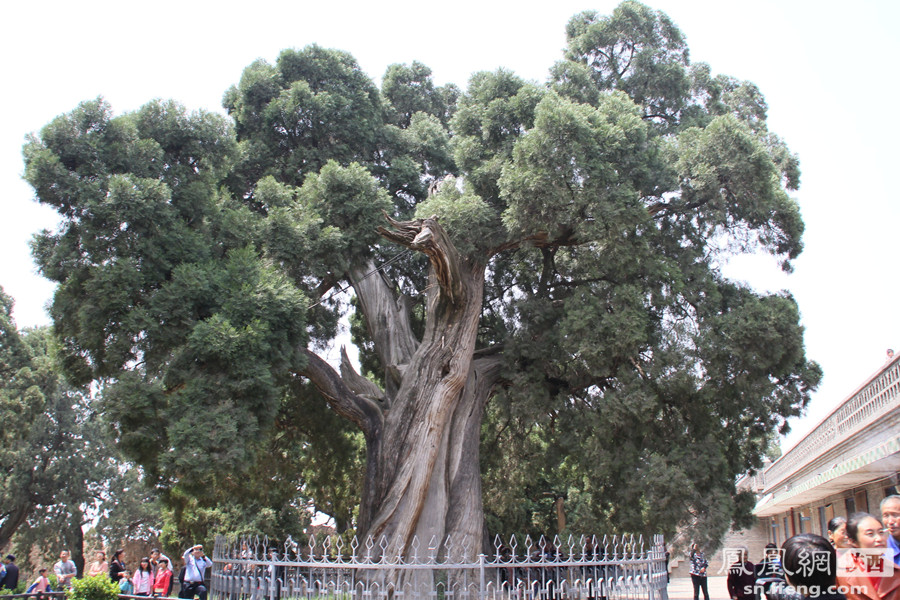 太阳成tyc7111cc官网