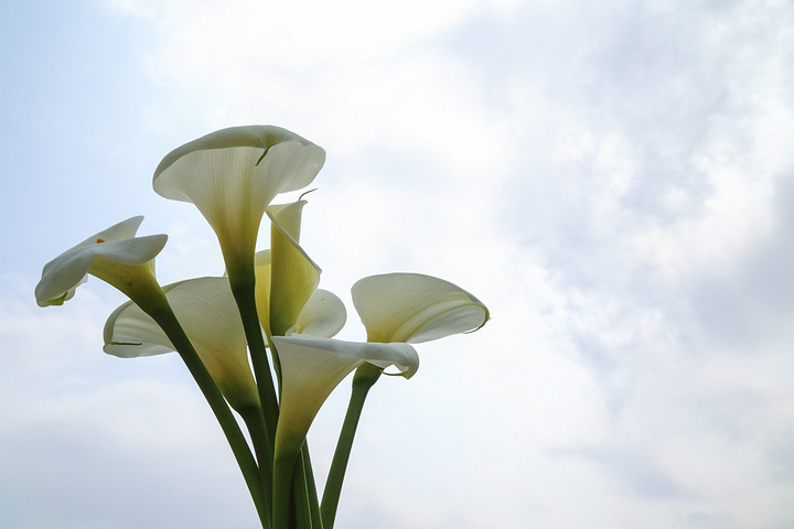 众星云集英皇集团年度庆典 四大猜想引爆眼球【tyc7111cc太阳成集团】(图3) 太阳成tyc7111cc