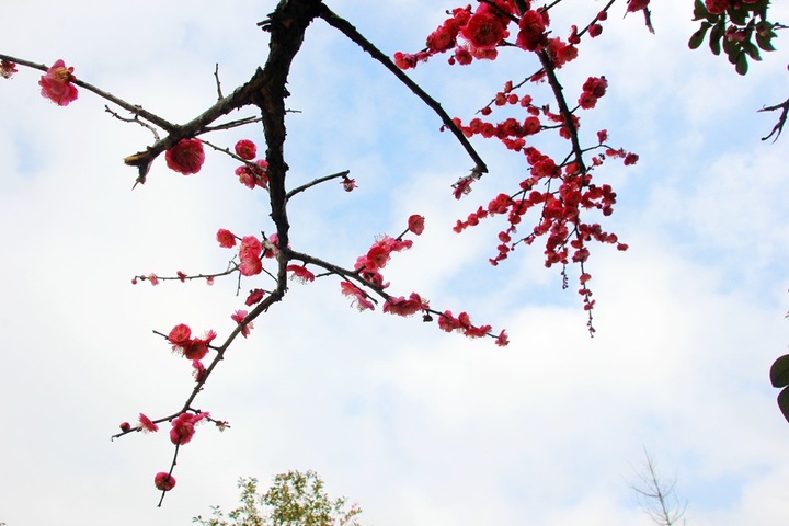 “tyc7111cc太阳成集团”吉克隽逸快女视频曝光 曾竟被曾轶可PK下台(图3) tyc7111cc太阳成集团