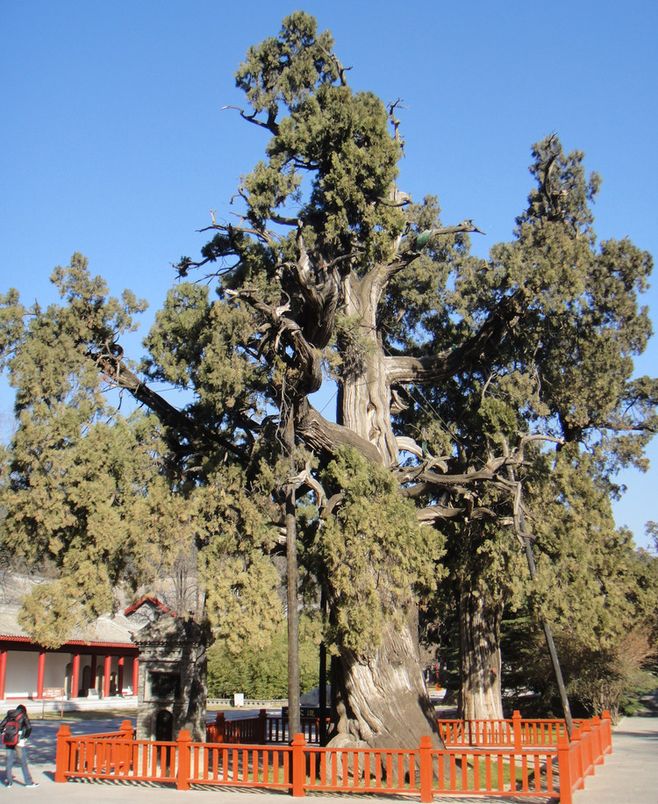 ‘tyc7111cc太阳成集团’戈壁投资与橡树投资就华视传媒未能遵守法令提交藐视动议(图2) 太阳成tyc7111cc