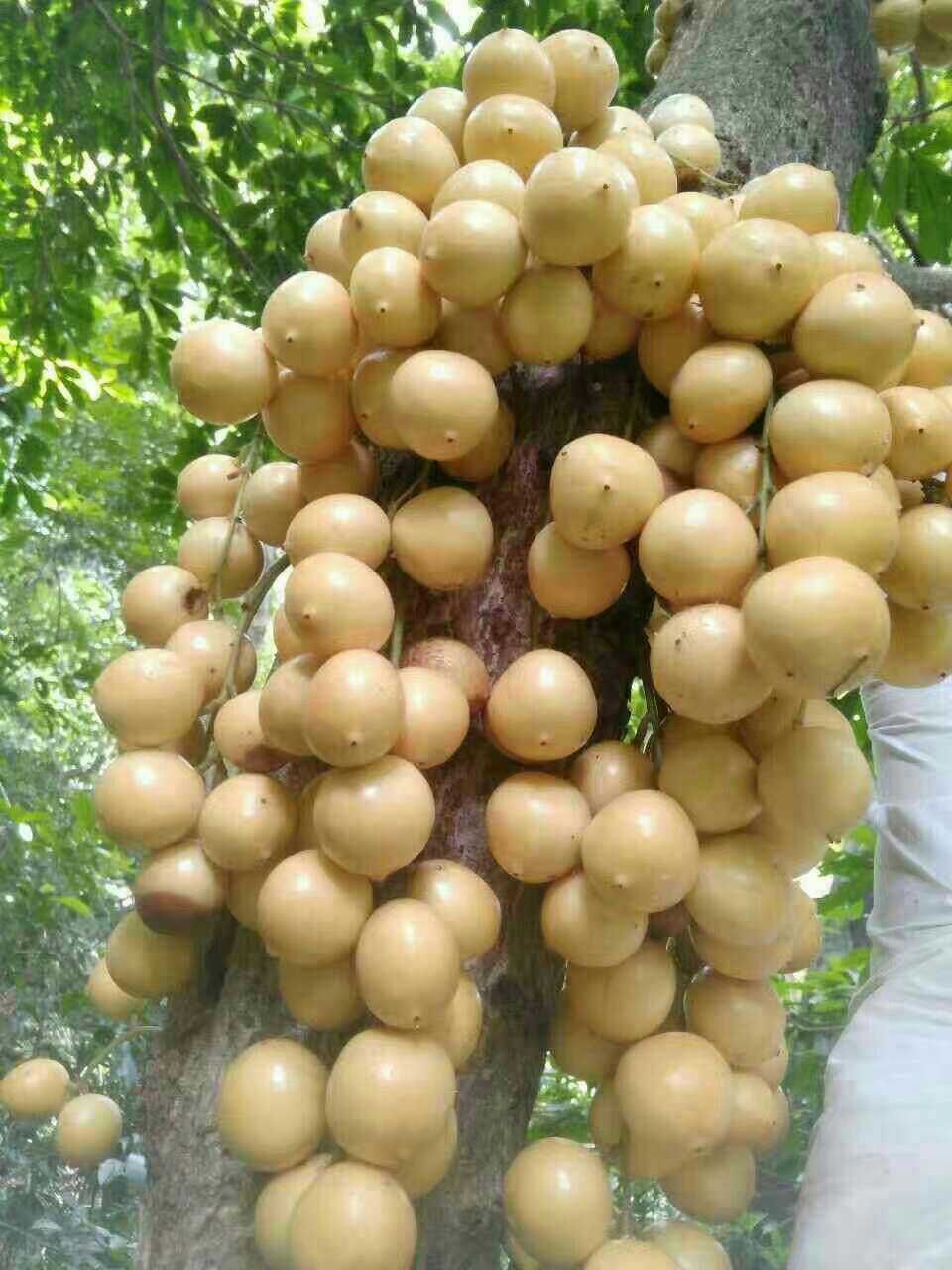 太阳成tyc7111cc官网_长江勘测规划设计研究院3项技术参展第十三届国际水利先进技术(产品)推介会(图2) 太阳成tyc7111cc