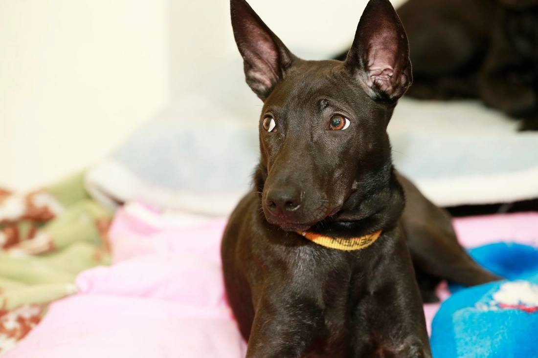 “哪吒”票房即将超《复联4》 国产片包揽内地影史票房前三-太阳成tyc7111cc官网(图2) 太阳成tyc7111cc官网