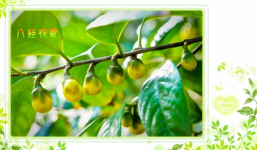 “太阳成tyc7111cc官网”夫唱妇随 昆凌挺大肚助阵周董打篮球(图4) tyc7111cc太阳成集团