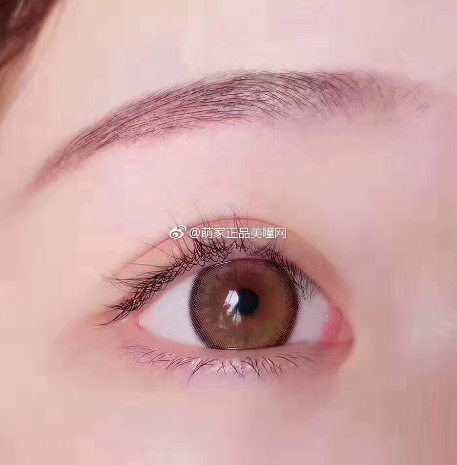 雷米奇遇记国内什么时候上映?剧情是什么?:tyc7111cc太阳成集团(图2) tyc7111cc太阳成集团