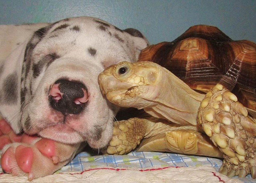 珊瑚镇积极做好暴风雨后安全隐患排查工作:太阳成tyc7111cc官网(图1) 太阳成tyc7111cc官网