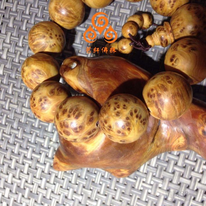 tyc7111cc太阳成集团