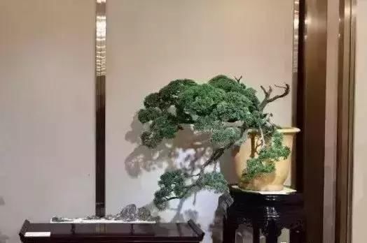 tyc7111cc太阳成集团