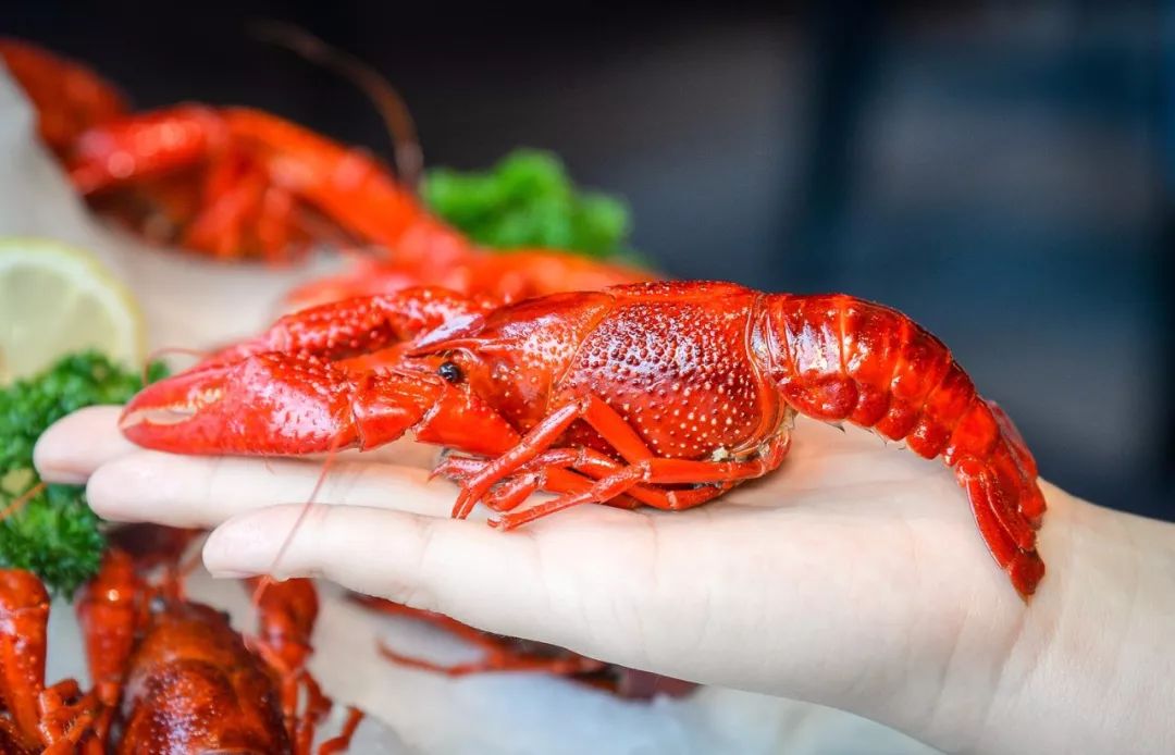 建筑工程项目的现场施工管理【tyc7111cc太阳成集团】(图3) tyc7111cc太阳成集团