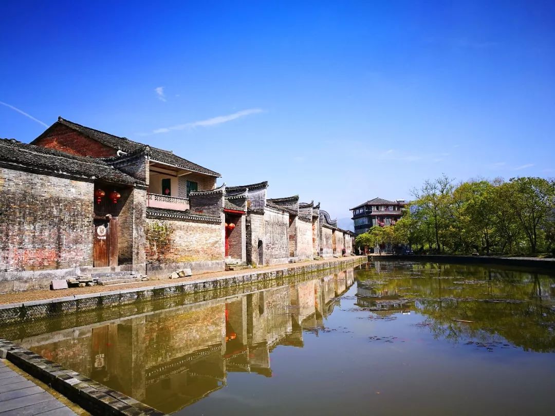 内蒙人注意了!从今天起 用手机就可以查“五证”啦“tyc7111cc太阳成集团”(图3) 太阳成tyc7111cc官网