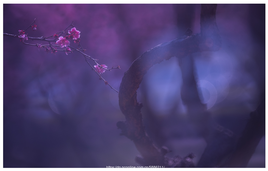 太阳成tyc7111cc官网