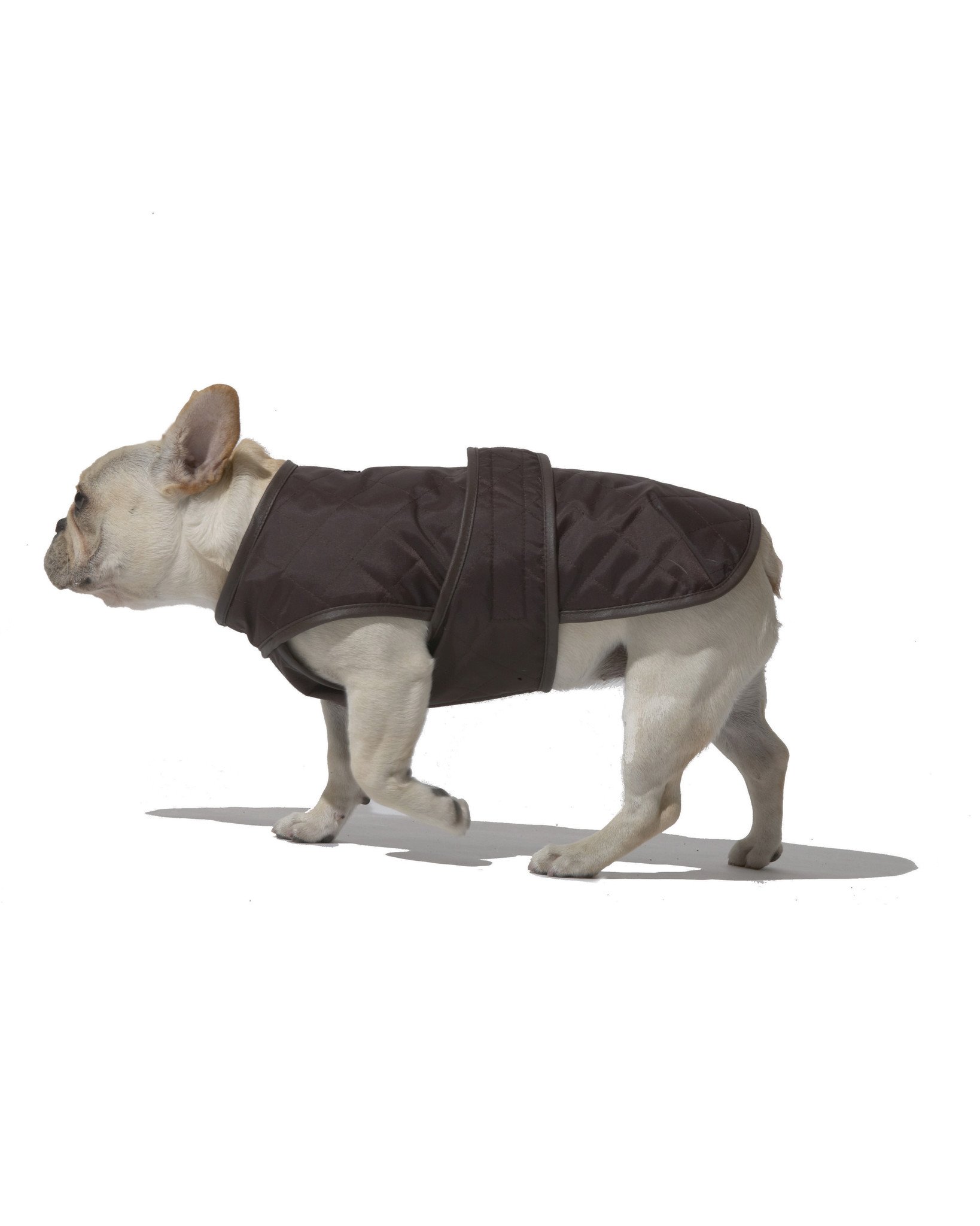 【太阳成tyc7111cc】
事业单元三大岗位 外人看鲜明亮丽 其实多数人是条约工(图4) 太阳成tyc7111cc