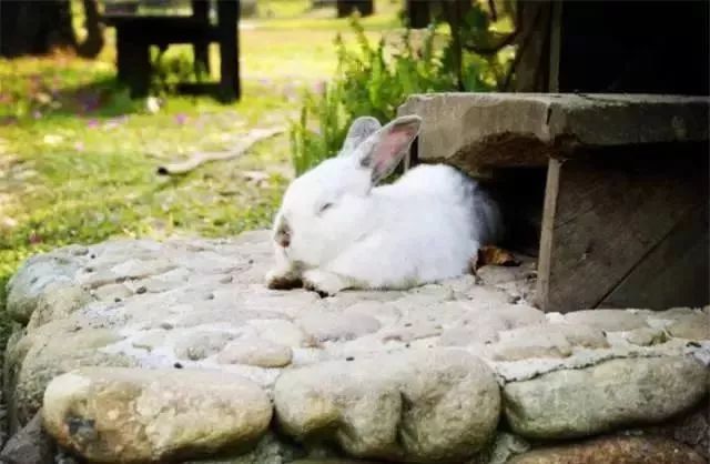 事业单元薪级人为9级1171元 这合理吗?:太阳成tyc7111cc(图1) tyc7111cc太阳成集团