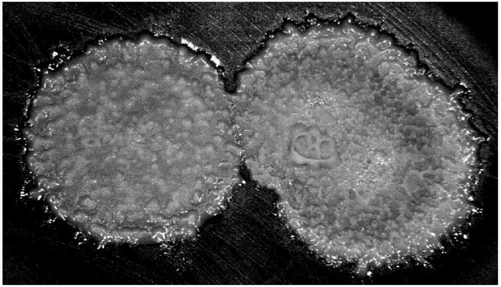 钟山县“雨露计划”确保受益贫困学子不落一人|太阳成tyc7111cc(图3) 太阳成tyc7111cc