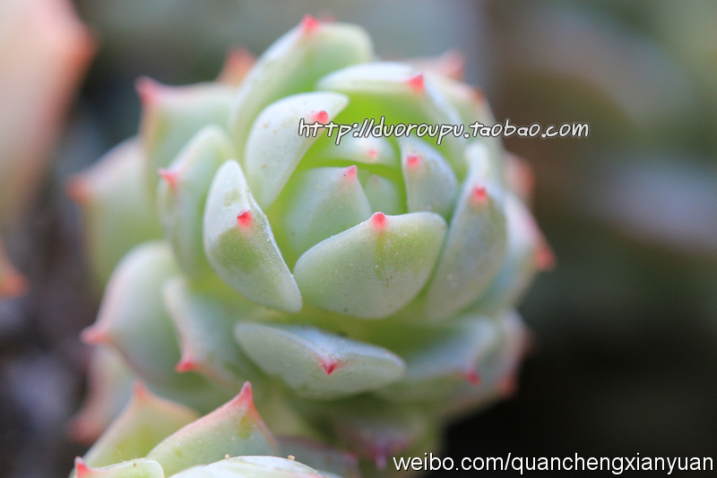 太阳成tyc7111cc官网