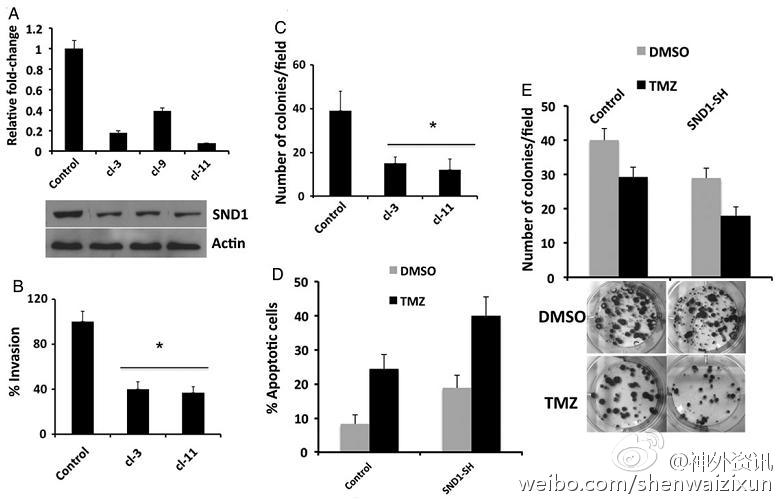 tyc7111cc太阳成集团|红花镇召开村委换届选举工作业务培训会(图1) tyc7111cc太阳成集团