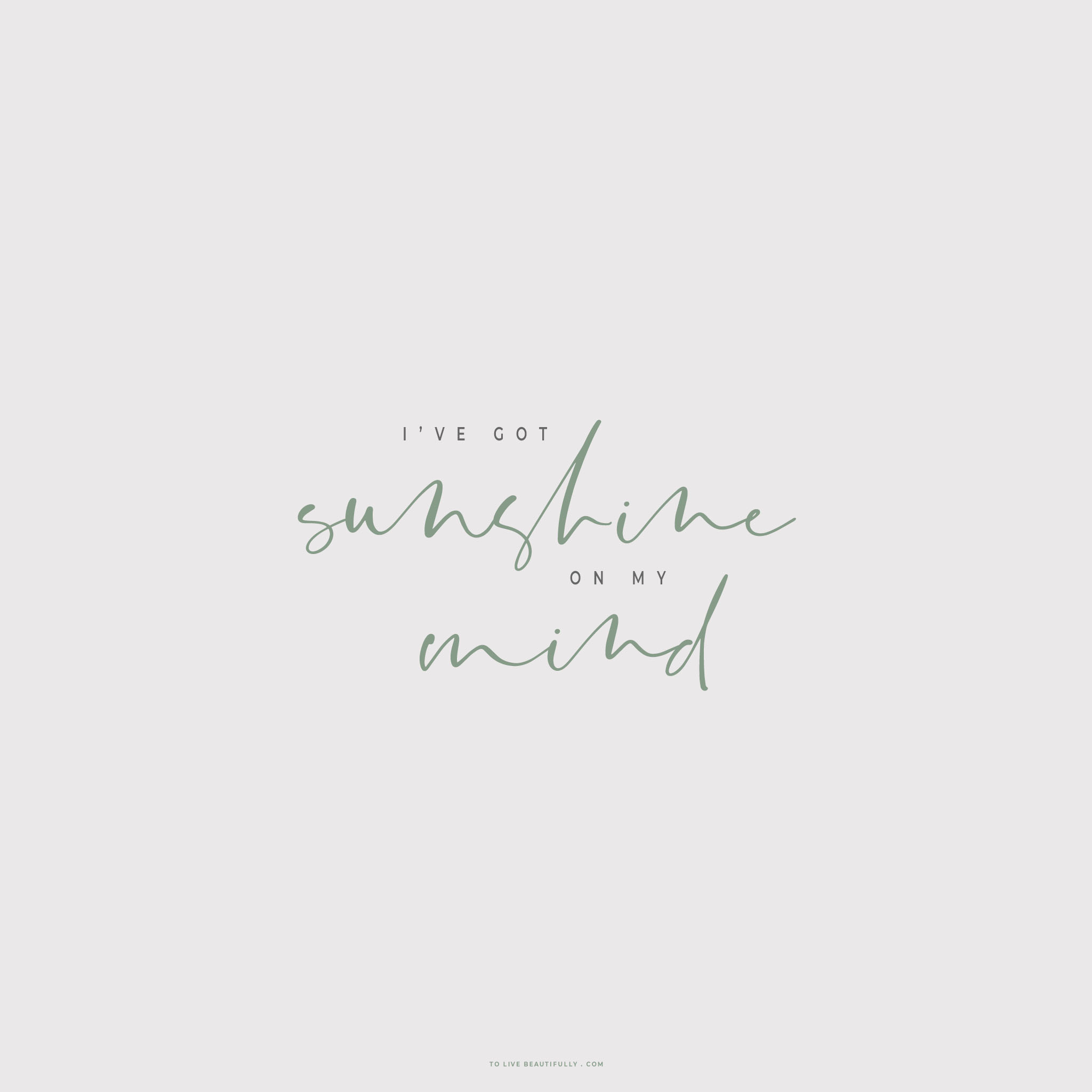 太阳成tyc7111cc官网