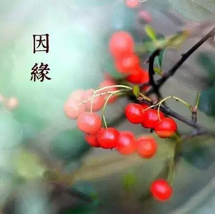 建筑工程如何管理?-太阳成tyc7111cc官网(图2) tyc7111cc太阳成集团