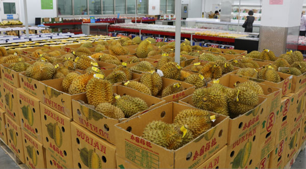 太阳成tyc7111cc官网:陈晓东刻意与张柏芝撇清关系 闻quot;锋芝quot;大发脾气(图1) 太阳成tyc7111cc官网