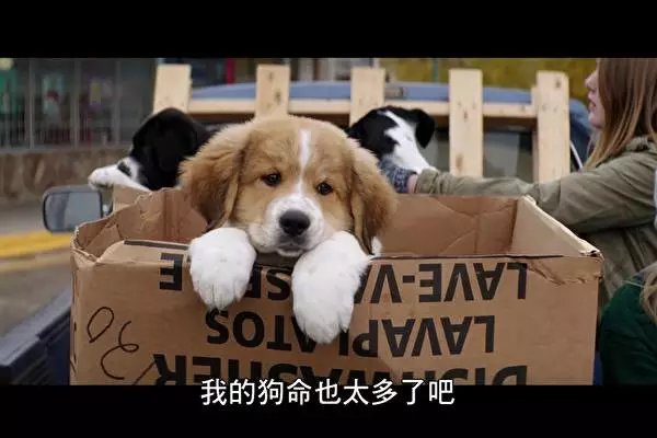 tyc7111cc太阳成集团