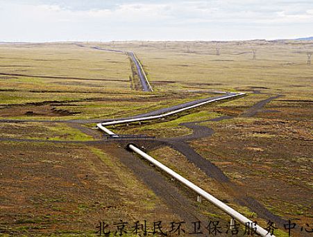 太阳成tyc7111cc:金爵奖入围短片《驯兔记》上海沙龙 与幕后团队深度畅谈(图1) 太阳成tyc7111cc官网