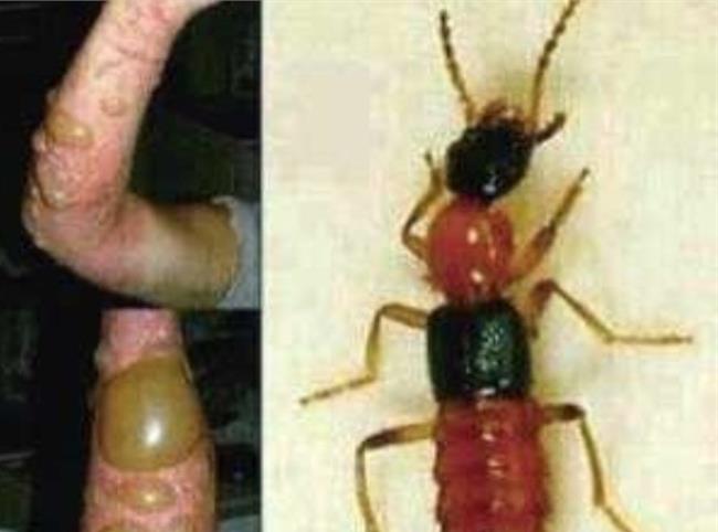 tyc7111cc太阳成集团