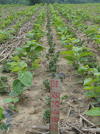 tyc7111cc太阳成集团