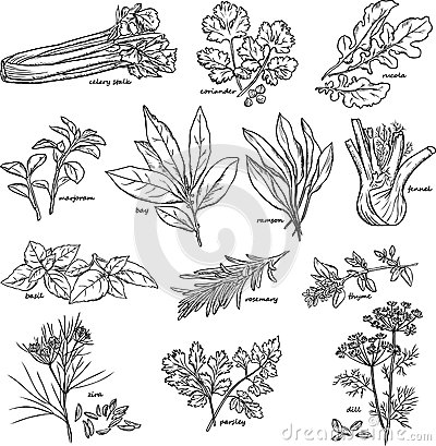 tyc7111cc太阳成集团