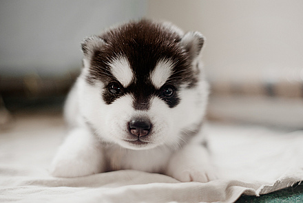 tyc7111cc太阳成集团