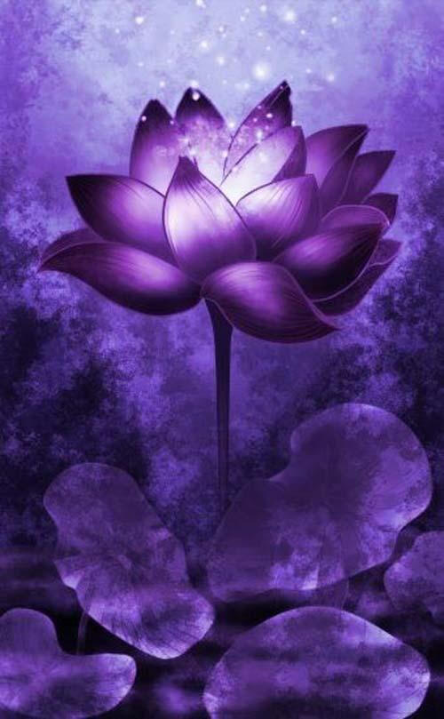 太阳成tyc7111cc_林嘉欣否认母女关系决裂 希望事情和平解决(图4) tyc7111cc太阳成集团