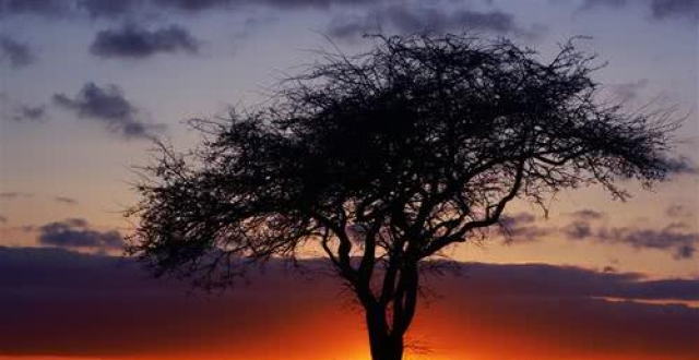 tyc7111cc太阳成集团