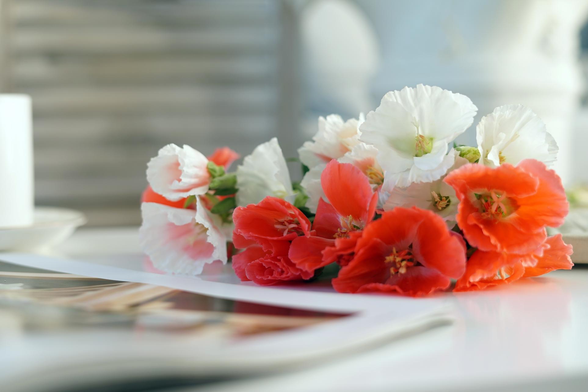 太阳成tyc7111cc官网