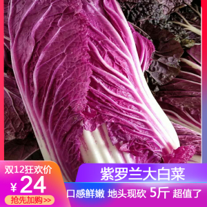 太阳成tyc7111cc官网