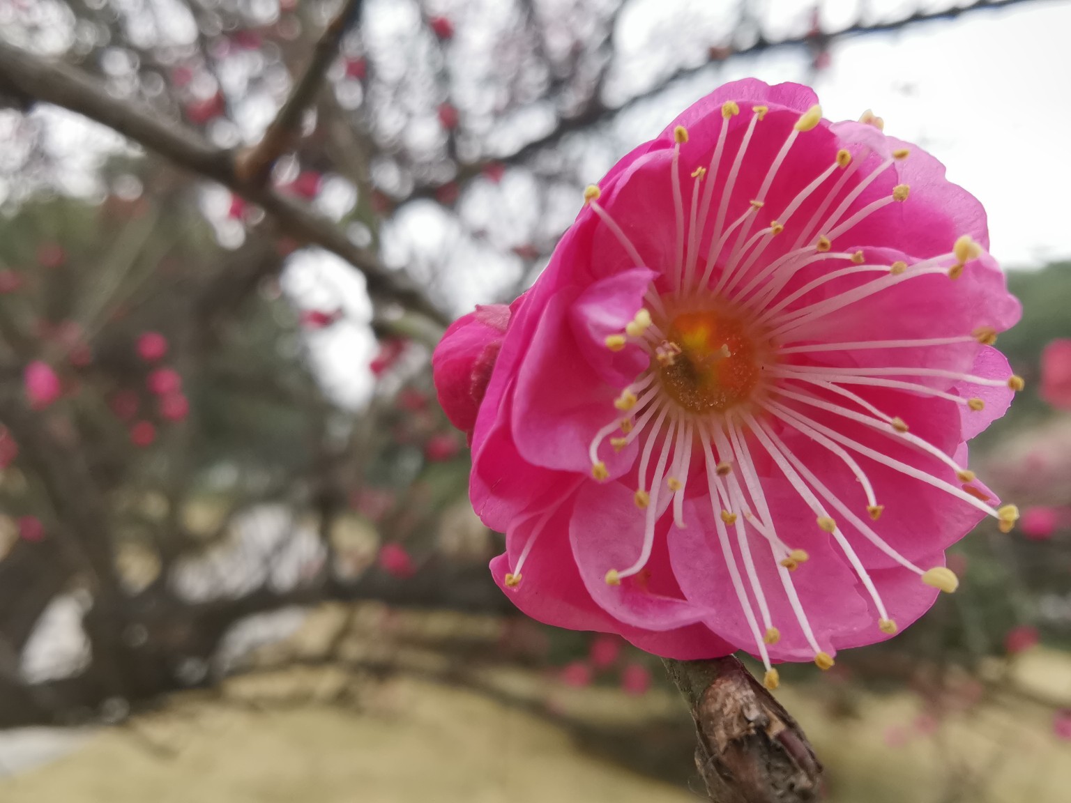 太阳成tyc7111cc官网