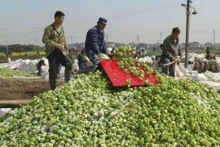 港媒曝许志安黄心颖秘交近两年 两人早已眉来眼去_太阳成tyc7111cc(图1) 太阳成tyc7111cc