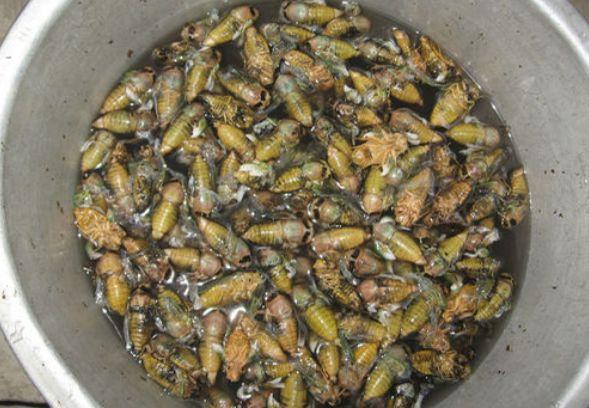 太阳成tyc7111cc官网:县农业农村局党组专题研究全面从严治党工作(图4) 太阳成tyc7111cc官网