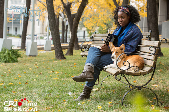 太阳成tyc7111cc官网