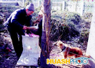 太阳成tyc7111cc官网