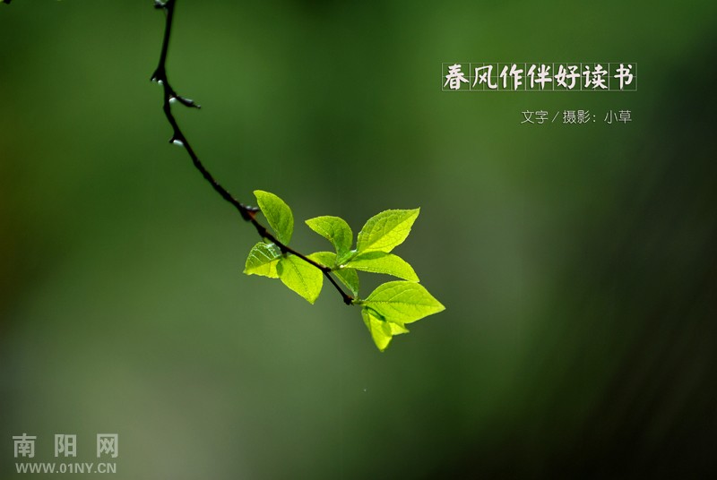 白百何突发眼疾 无缘《火锅》重庆宣传:tyc7111cc太阳成集团(图3) 太阳成tyc7111cc官网