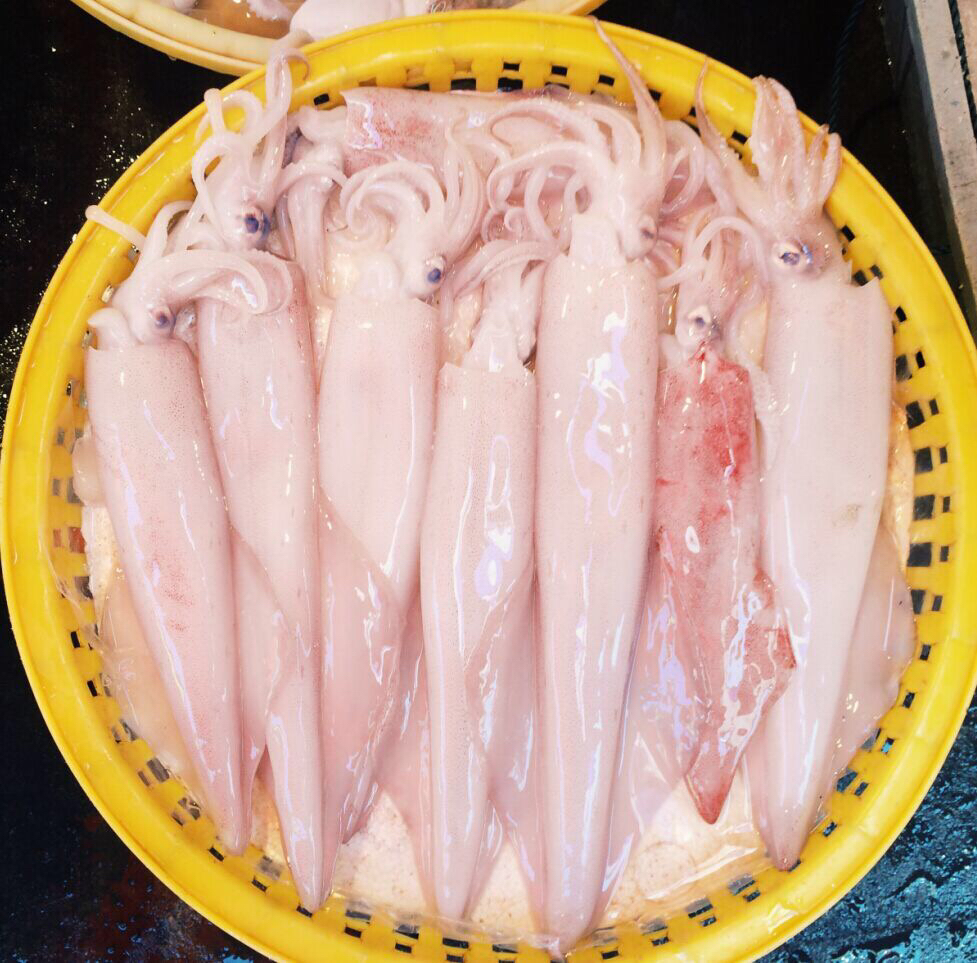 tyc7111cc太阳成集团:抗击“疫”情 党员先行——同古镇树党建新风筑牢防控长城(图3) 太阳成tyc7111cc