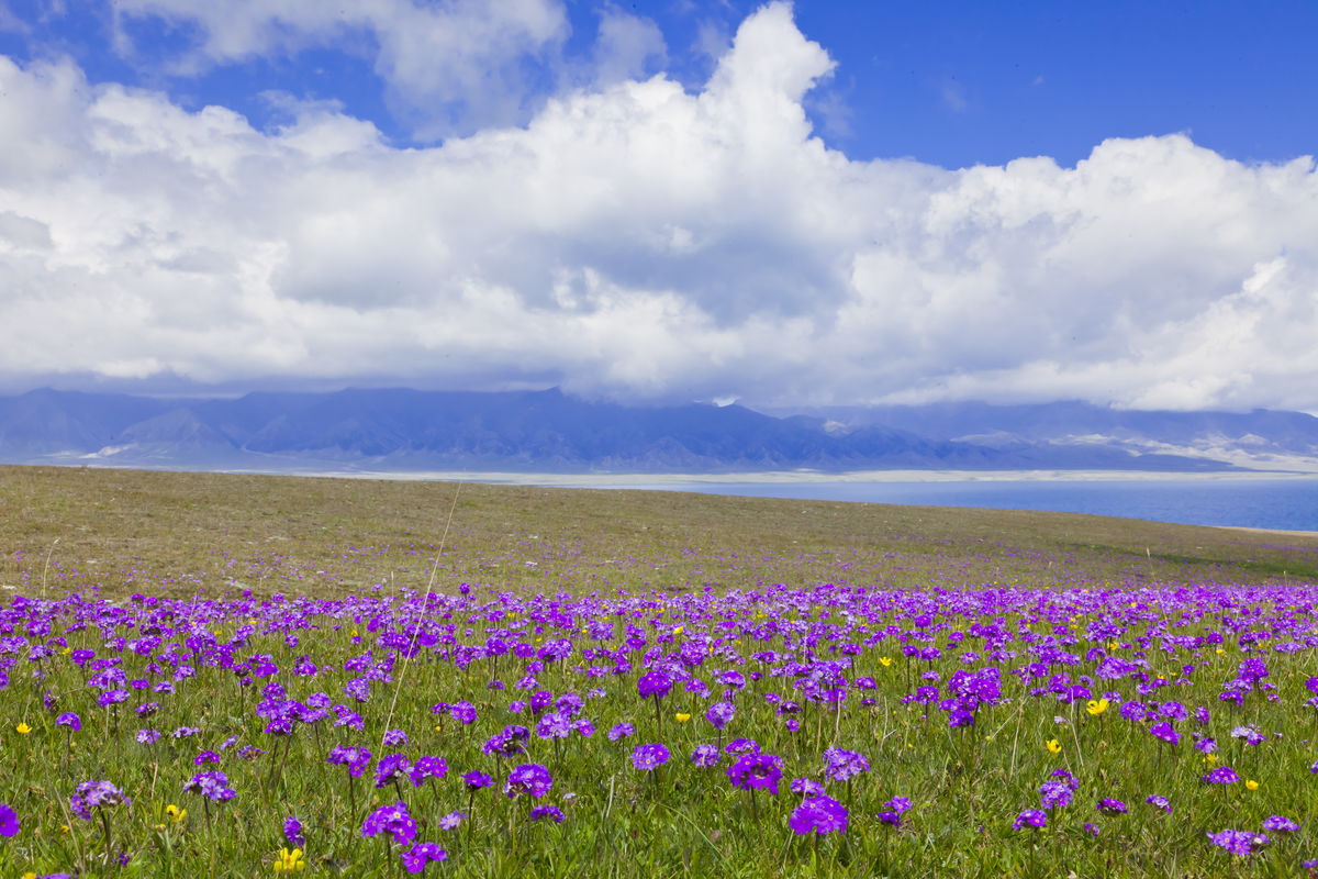 太阳成tyc7111cc官网