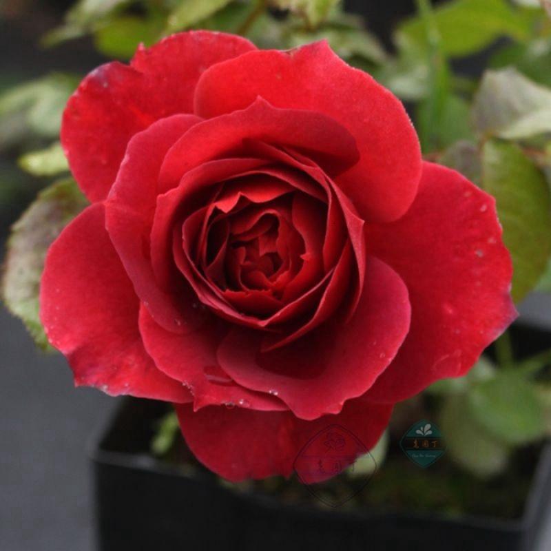 太阳成tyc7111cc官网