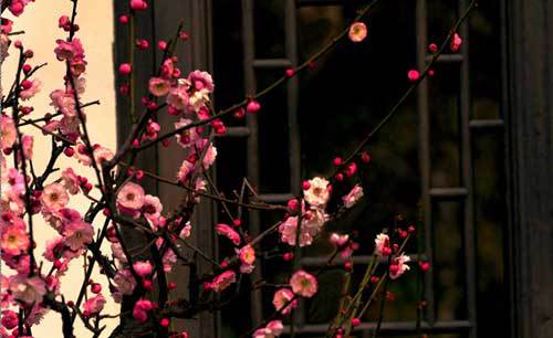 太阳成tyc7111cc官网