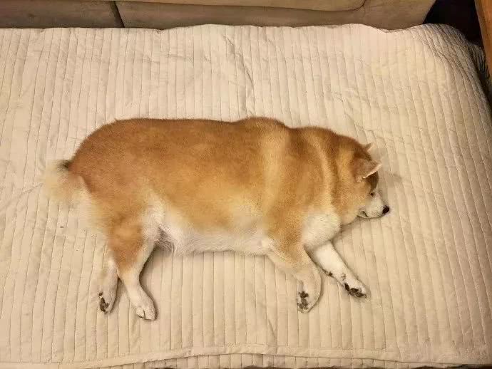 太阳成tyc7111cc官网