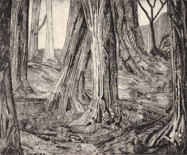 tyc7111cc太阳成集团