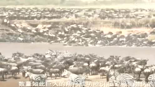 太阳成tyc7111cc官网