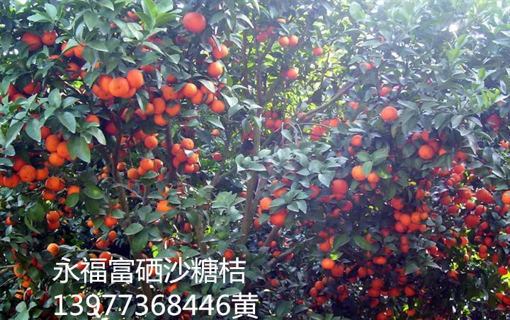 tyc7111cc太阳成集团