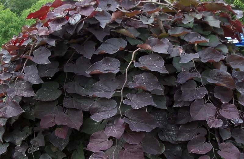 tyc7111cc太阳成集团